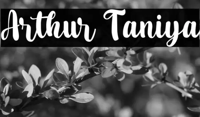 Arthur Taniya Font examples