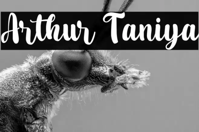 Arthur Taniya Font examples