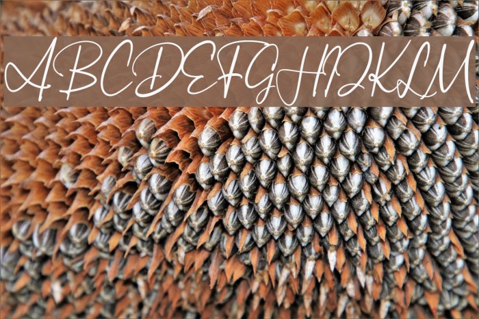 ArthurdaleDemo Example 1