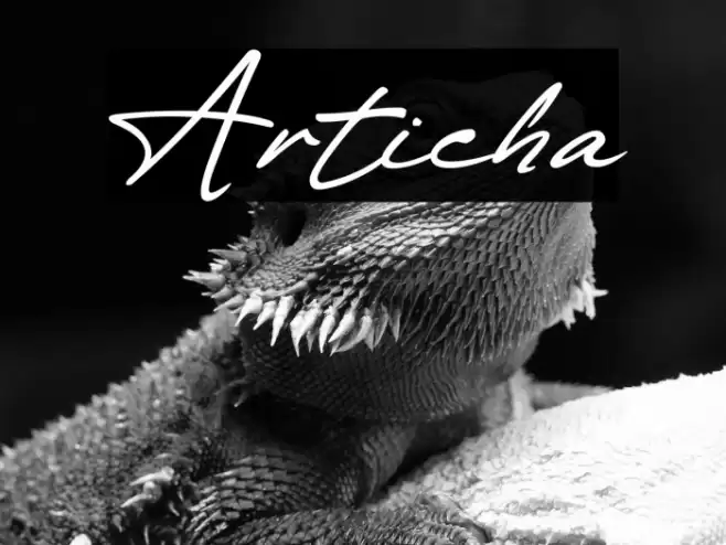 Articha Font examples