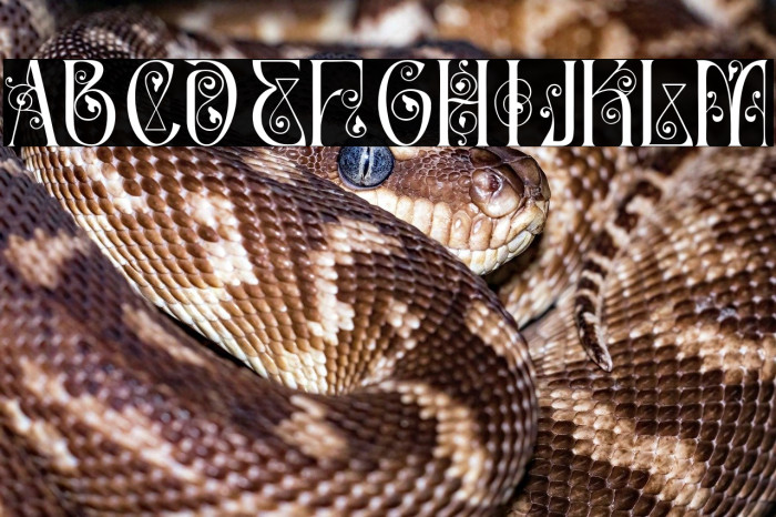 Article Master Demo Regular Example 1