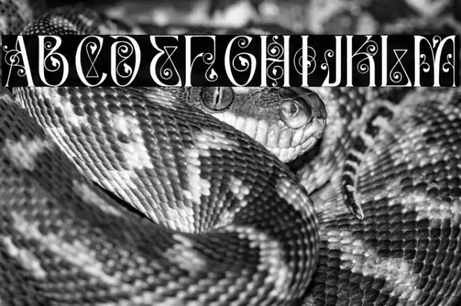 Article Master Demo Regular Fonte examples