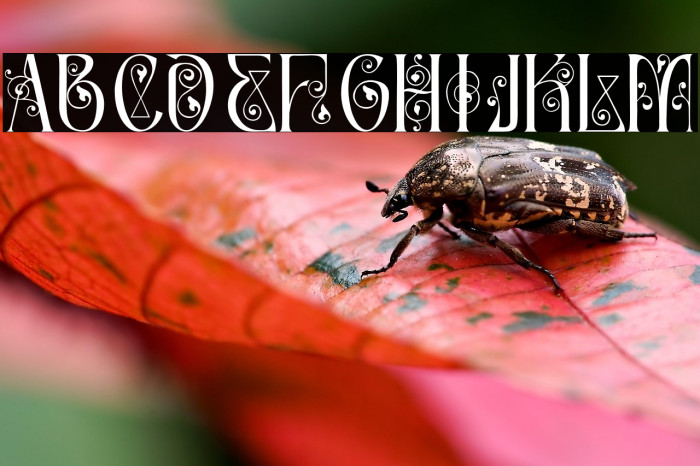 Article Master Demo Regular Example 2