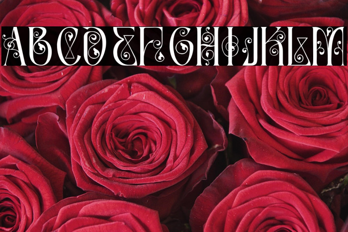 Article Master Demo Regular Example 3