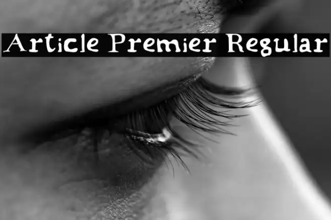 Article Premier Regular Example 1