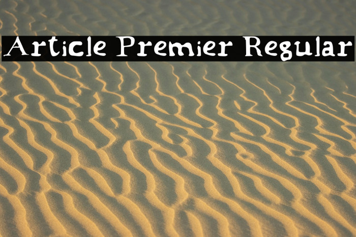 Article Premier Regular Example 2