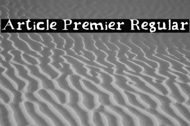 Article Premier Regular Example 2