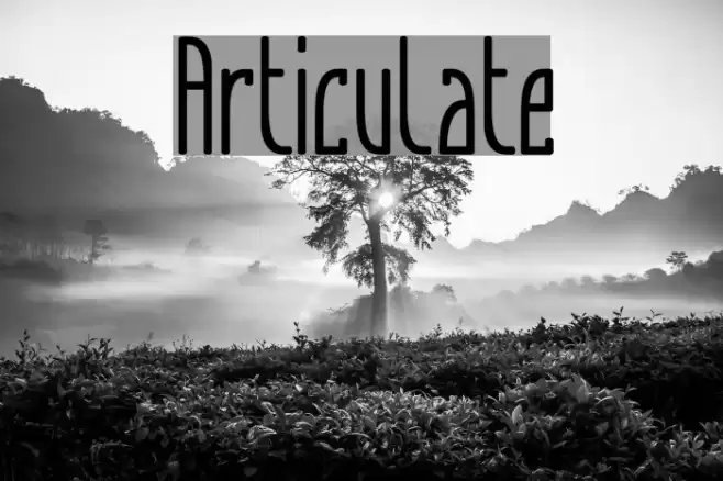Articulate Font examples