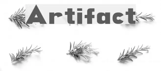 Artifact Example 1