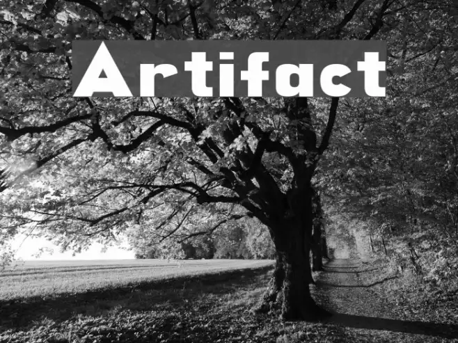 Artifact Example 2
