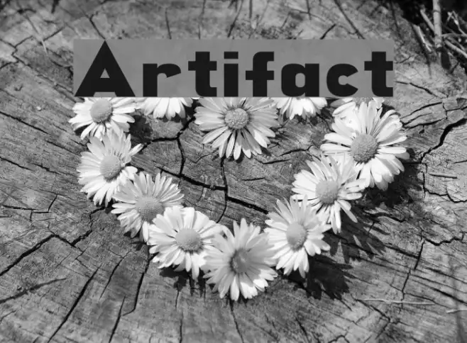 Artifact Example 3