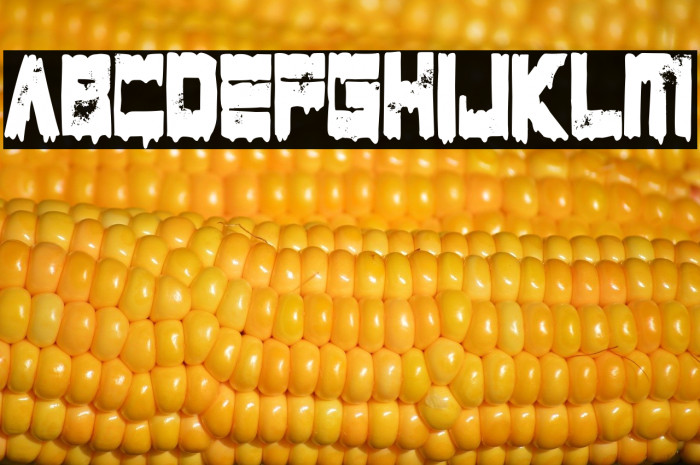 Artificial Intelligence Is Shit Example 3