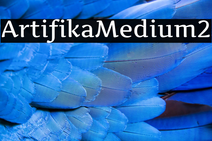 Artifika Medium2 Example 3