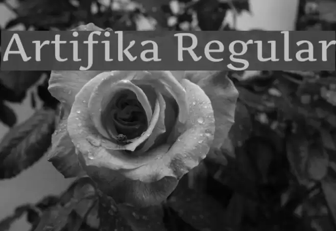 Artifika Regular Font examples