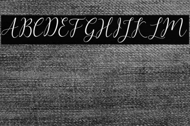 ArtillaScript Polices examples