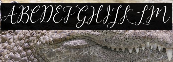 ArtillaScript Example 3