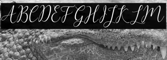 ArtillaScript Polices examples