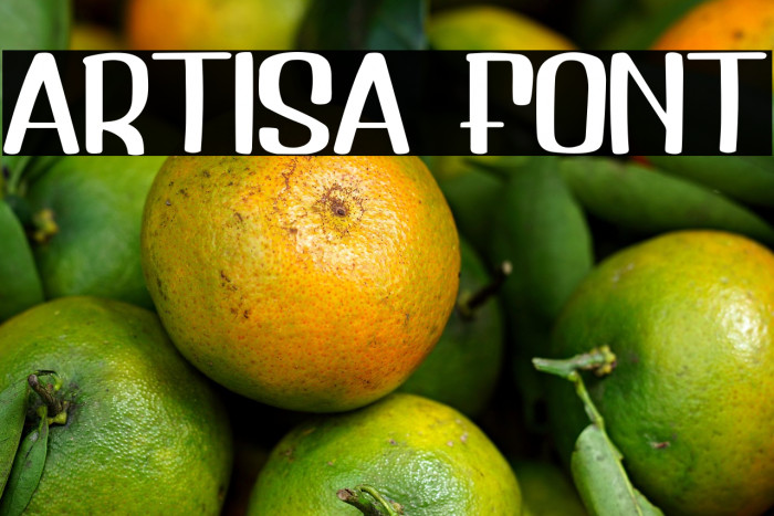 Artisa Font Example 2