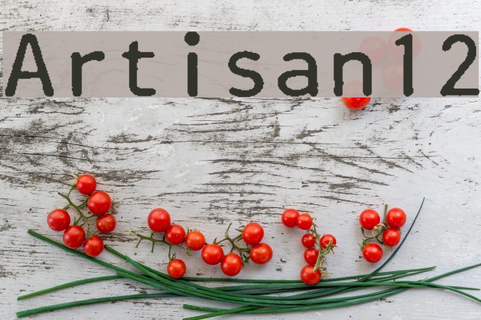 Artisan12 Font examples