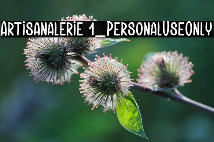 Artisanalerie 1_PersonalUseOnly Example 1