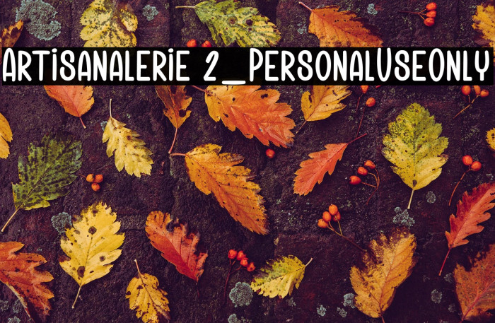 Artisanalerie 2_PersonalUseOnly Example 2