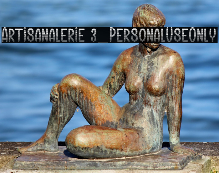 Artisanalerie 3_PersonalUseOnly Example 1