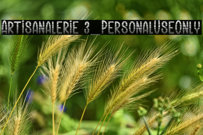 Artisanalerie 3_PersonalUseOnly Example 2