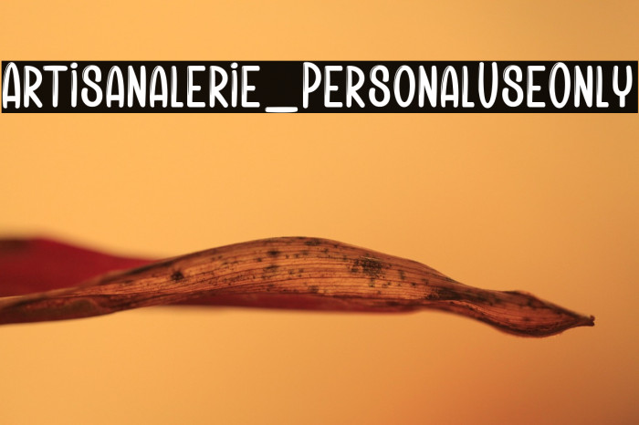 Artisanalerie_PersonalUseOnly Example 1