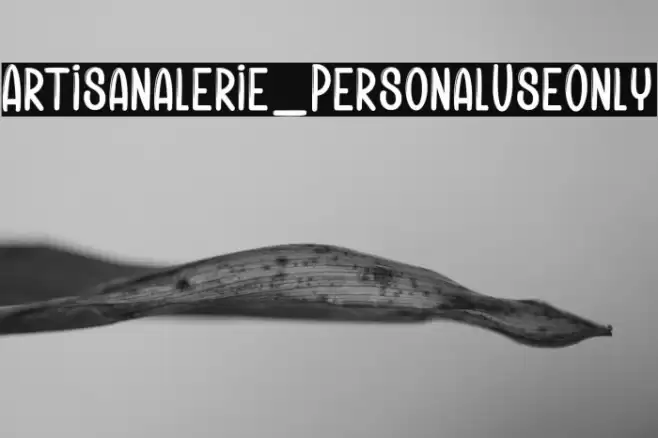 Artisanalerie_PersonalUseOnly Font examples