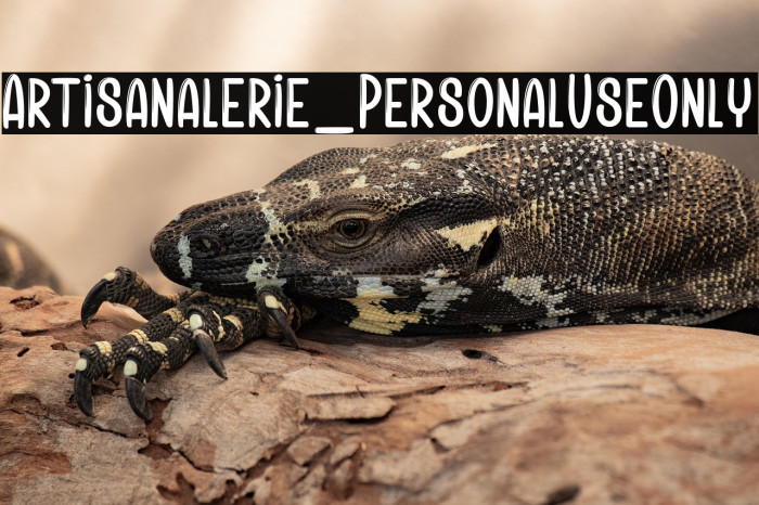 Artisanalerie_PersonalUseOnly Example 3