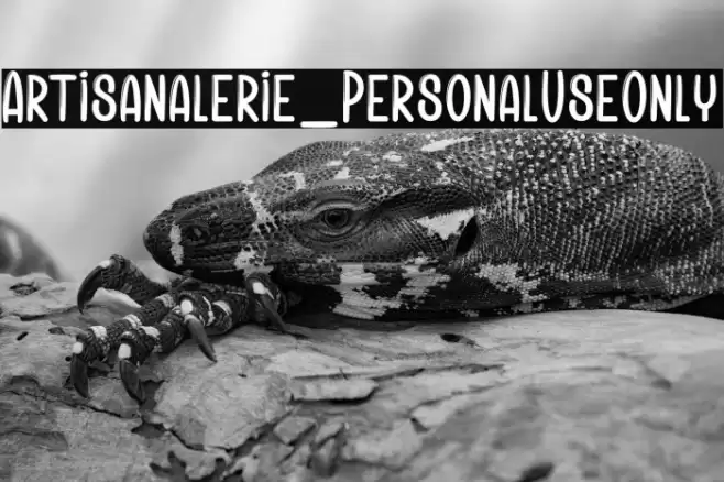 Artisanalerie_PersonalUseOnly Font examples