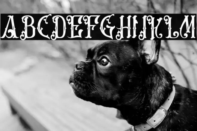 Artisocrat-Regular Font examples