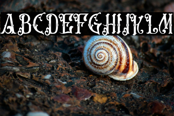 Artisocrat-Regular Example 2