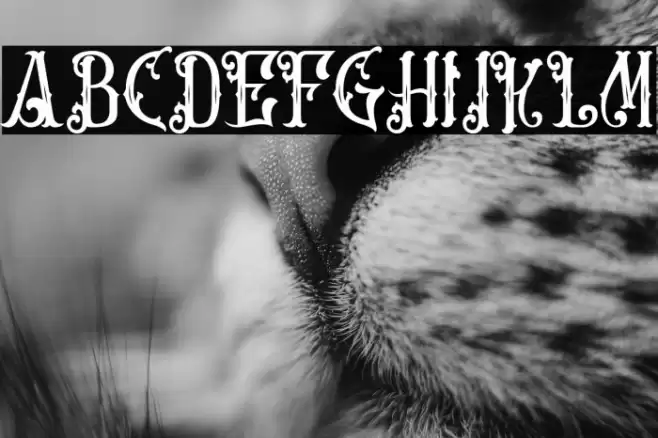 Artisocrat-Regular Font examples