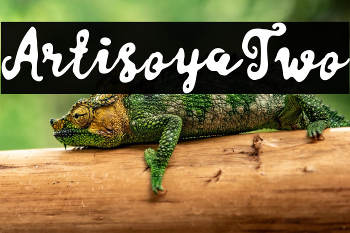 ArtisoyaTwo Example 1