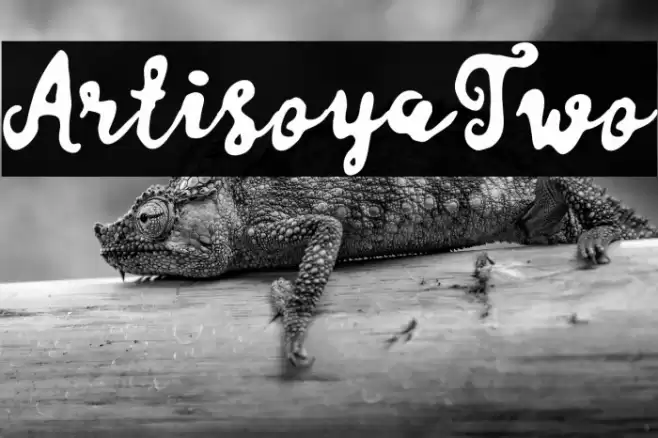 ArtisoyaTwo Font examples