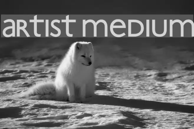 Artist Medium Font examples