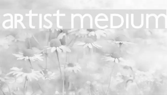 Artist Medium Font examples