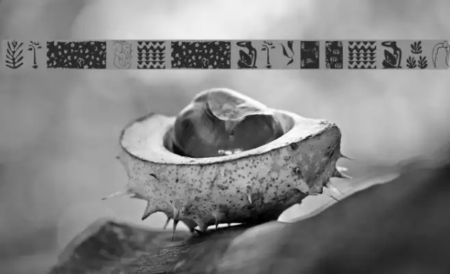 ArtistTracesTwo Example 2