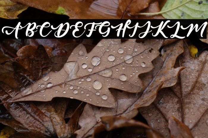 ArtisticCalligraphy Example 1