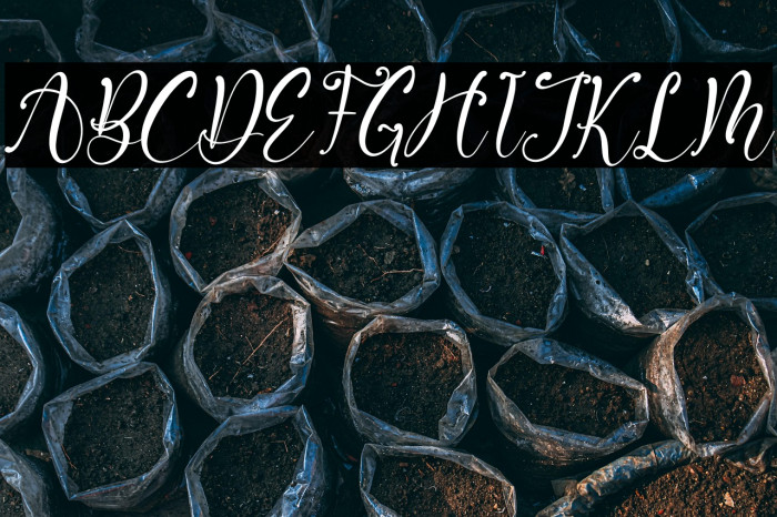 Artistica Italic Example 2