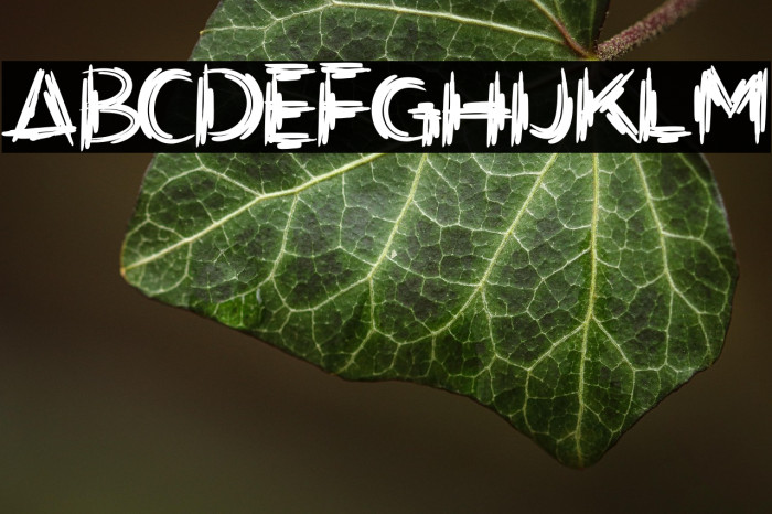 ArtistikDemoVersioRegular Example 3