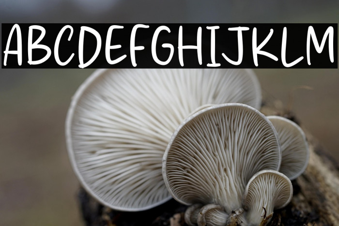 Artistry Valentino Fonte examples