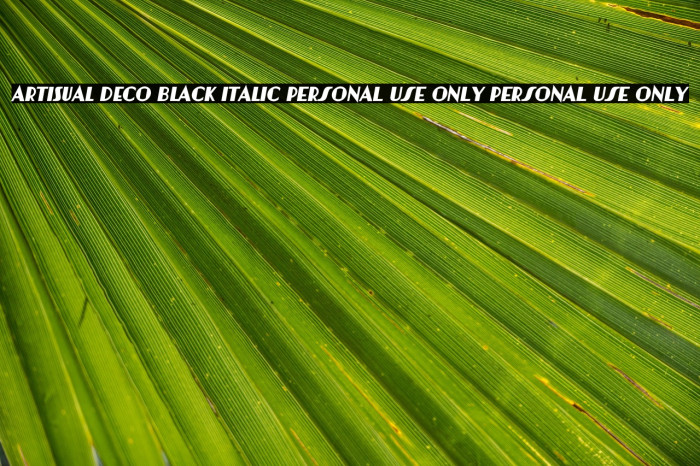Artisual Deco Black Italic PERSONAL USE ONLY PERSONAL USE ONLY Example 1