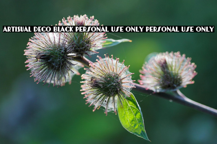 Artisual Deco Black PERSONAL USE ONLY PERSONAL USE ONLY Example 2