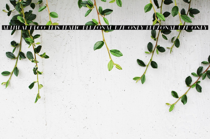 Artisual Deco Thin Italic PERSONAL USE ONLY PERSONAL USE ONLY Example 1