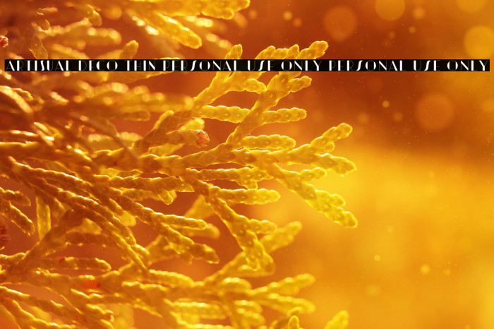 Artisual Deco Thin PERSONAL USE ONLY PERSONAL USE ONLY Example 2