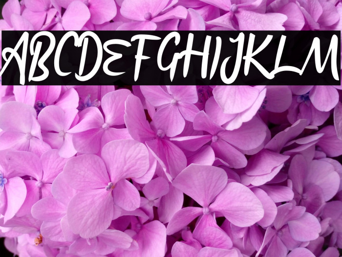 Artlazies_ Example 3