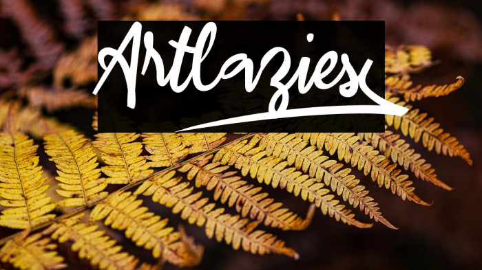 Artlazies_ Example 1