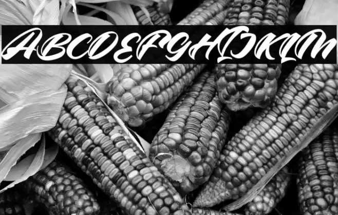 Artline Fuentes examples